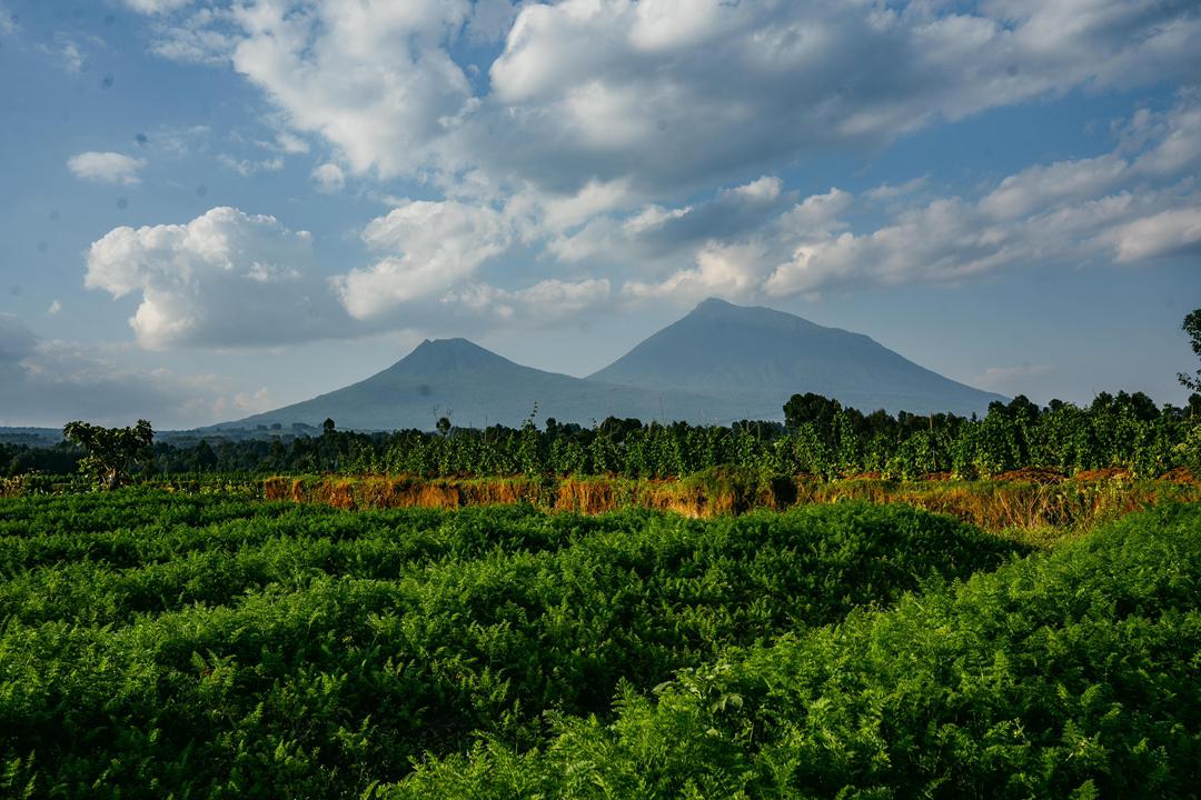 Twin volcanoes of the Virunga range at sunset
